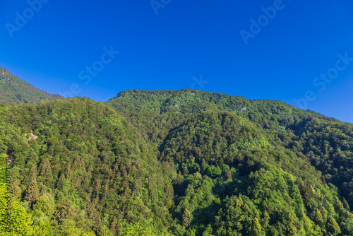 Mountain forest landscape in the Kropa region of Slovenia.