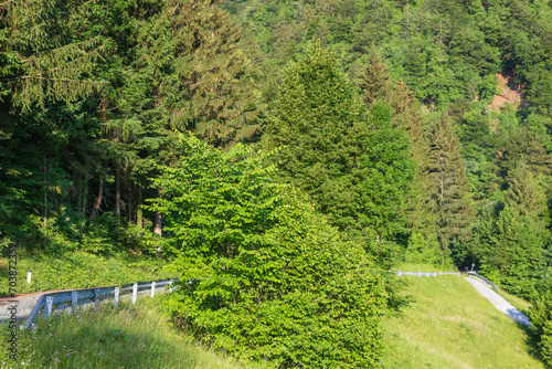 Asphalt narrow mountain road in Jamnik region of Slovenia.