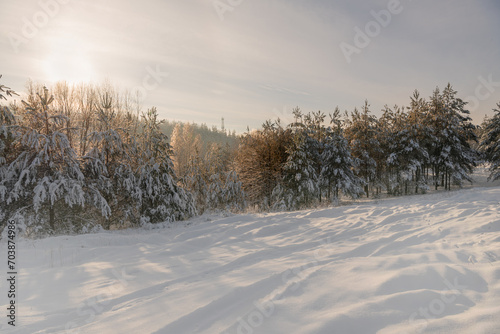 Beautiful winter landscape in Podlasie. Białystok