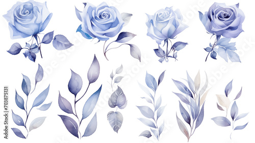 Watercolor elements are purple  blue roses  and flowers on a white background