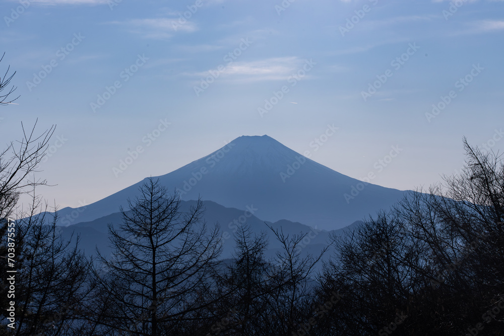 扇山から見た富士山