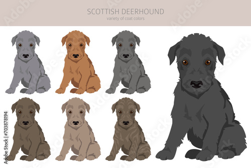 Scottish deerhound puppies clipart. Different poses, coat colors set
