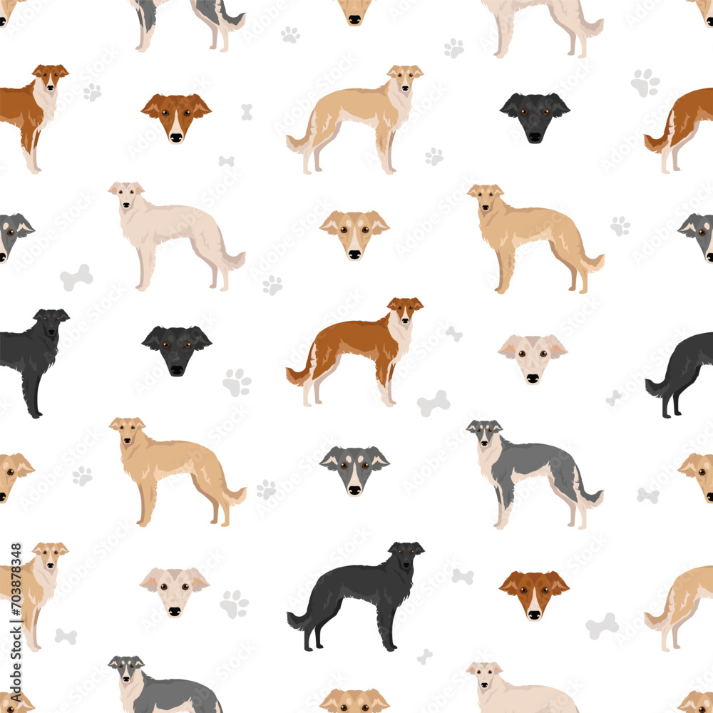 Obraz premium Silken Windhound seamless pattern. All coat colors set
