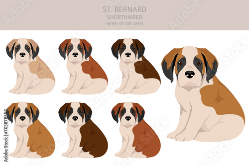 St Bernard shorthaired puppies coat colors, different poses clipart