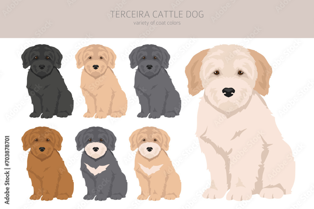 Terceira Cattle dog puppies clipart. Different poses, coat colors set. - obrazy, fototapety, plakaty 
