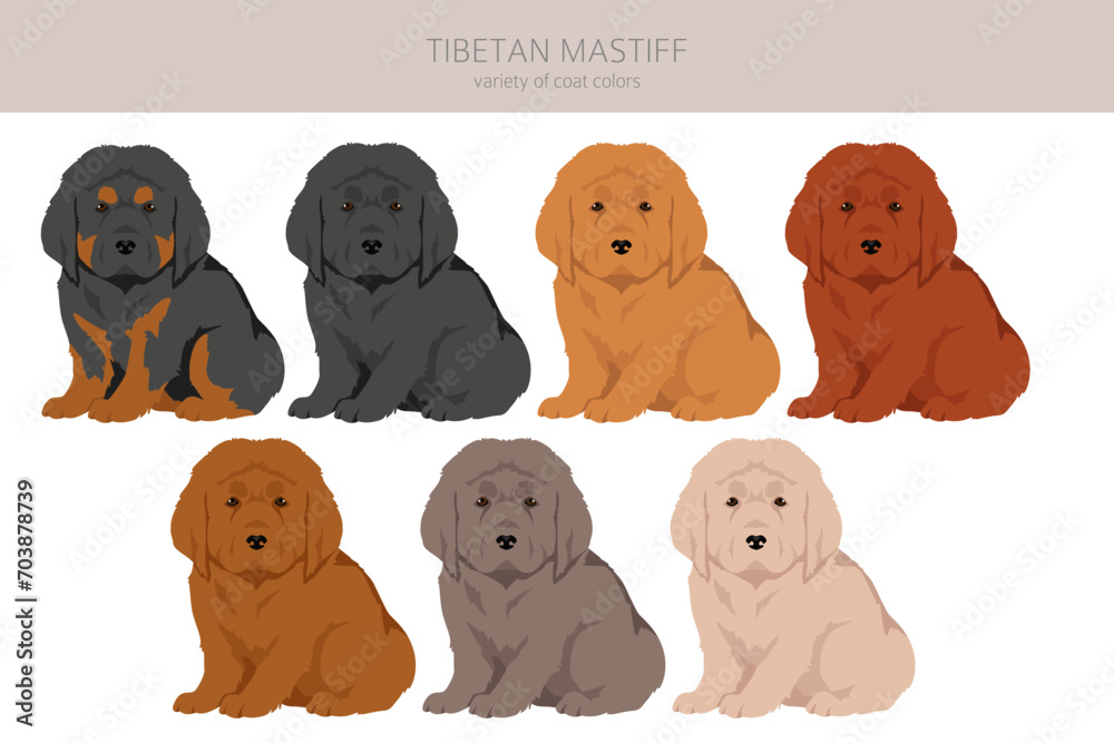 Tibetan mastiff puppies clipart. Different poses, coat colors set