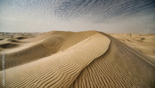 sand dunes in the desert © melih 