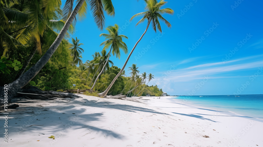 Seaside Paradise: Sun-Kissed Beach with Towering Coconut Palms