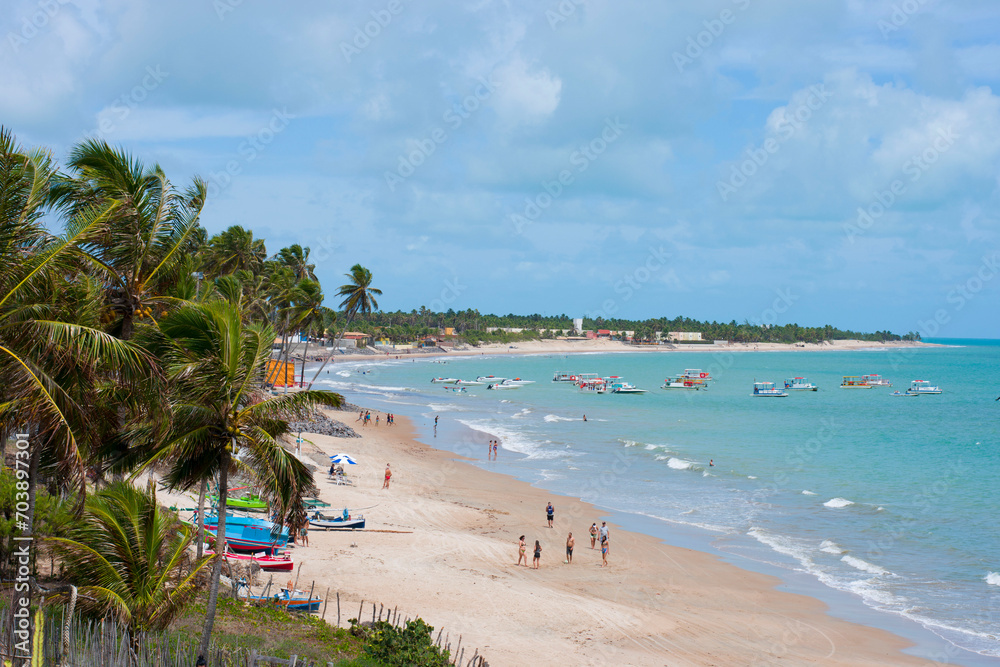 beach with palm trees