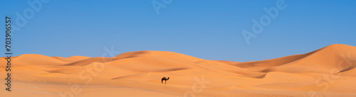 Panoramic view of Merzouga desert with camel