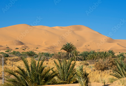 Dunes of Merzouga desert