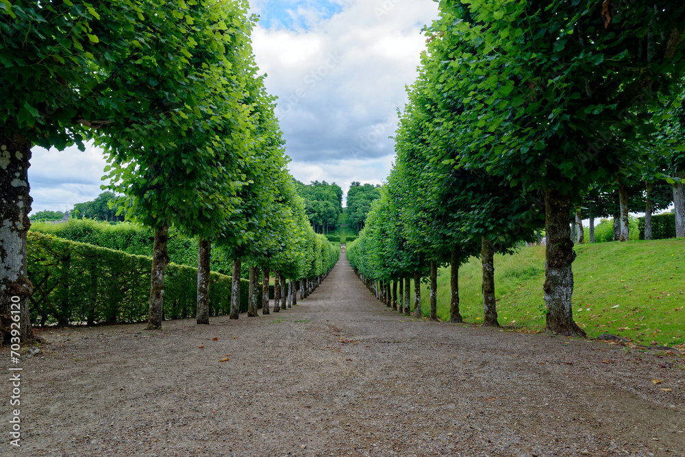 Long aisle in the french garden of Villandry, Villandry Castle Long aisle in the french garden of Villandry, Villandry Castle