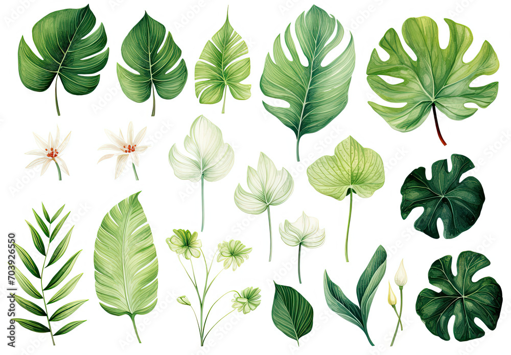 Collection of Fresh Green Leaves on a Clean White Background Collection of Fresh Green Leaves on a Clean White Background