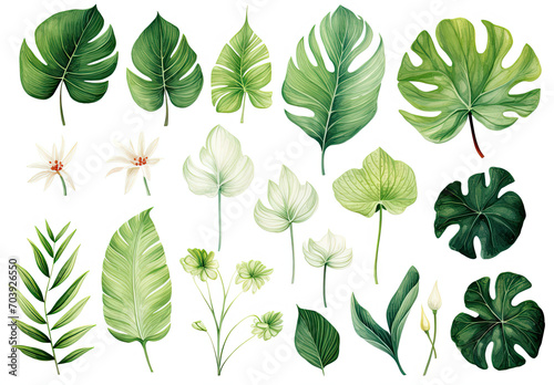 Collection of Fresh Green Leaves on a Clean White Background © Piotr