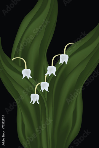 Lily of the Valley