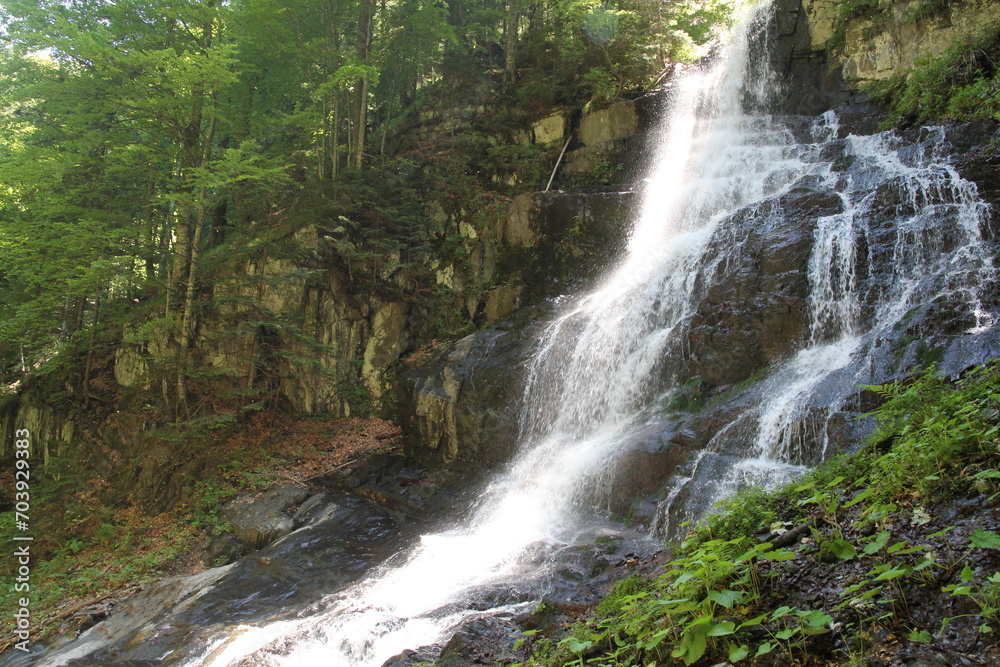 A majestic waterfall, cascading from great heights with thundering force, amidst the lush greenery of a serene forest. A majestic waterfall, cascading from great heights with thundering force, amidst the lush greenery of a serene forest.