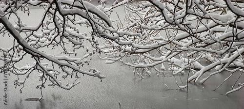 Schnee auf Zweigen über Eisfläche