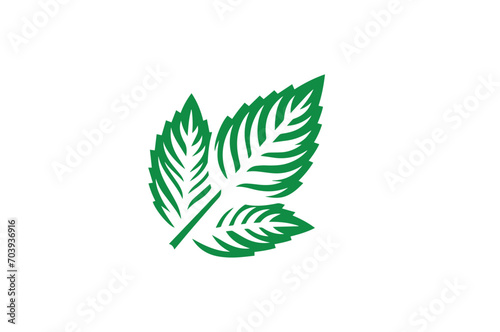 Fresh Mint Leaf Vector Illustration Icon