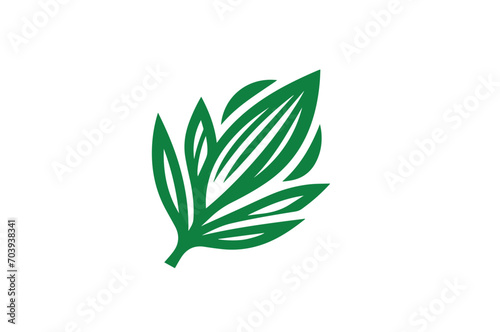 Exquisite Detailed Cardamom Spice Vector Illustration Icon