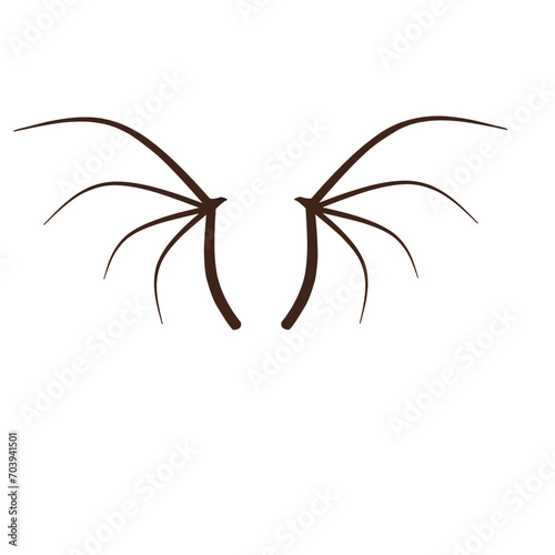 dragon wing bone skeleton