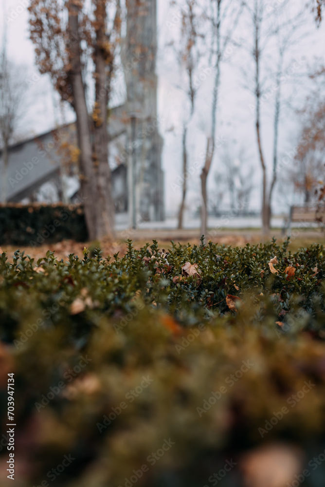 Leaf fall in the autumn park. Trees, leaves, path. Leaf fall in the autumn park. Trees, leaves, path.
