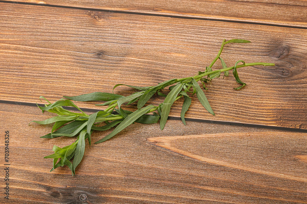Green tarragon herb spice for cooking Green tarragon herb spice for cooking