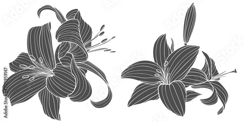 Lily flower stencil vector design