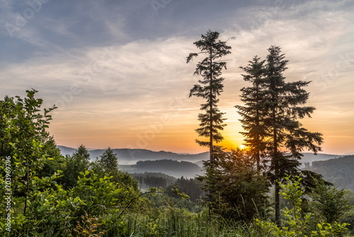 A landscape with the rising sun that rises among the spruce trees.