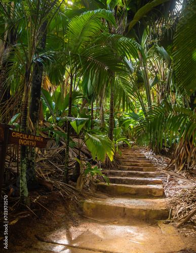 Obraz na płótnie The Vallee De Mai palm forest. May Valley, island of Praslin, Seychelles w salonie