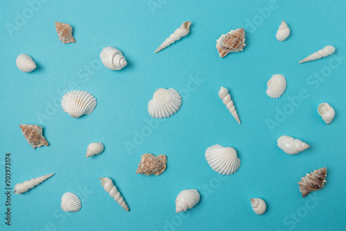 Creative seashell pattern on pastel blue background. Summer minimal concept.