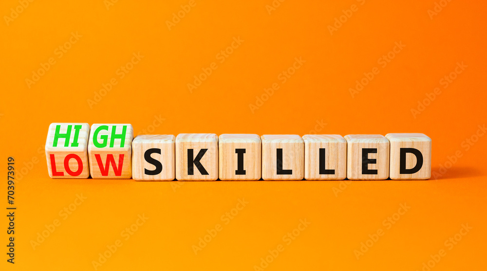High or low skilled symbol. Concept words High skilled or Low skilled on beautiful wooden blocks. Beautiful orange table orange background. Business high or low skilled concept. Copy space. High or low skilled symbol. Concept words High skilled or Low skilled on beautiful wooden blocks. Beautiful orange table orange background. Business high or low skilled concept. Copy space.