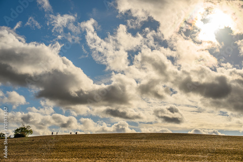 clouds over the field