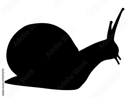 Snail, Seafood silhouette vector art white background