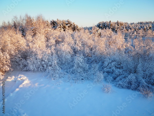 Mixed taiga forest in winter in clear frosty weather after heavy snowfall. Air temperature - 27 degrees Celsius. Flora of Karelia. A walk through the icy frozen forest. Tree branches. Polar climate