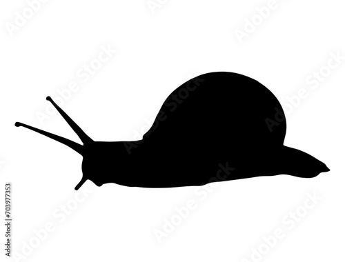 Snail, Seafood silhouette vector art white background