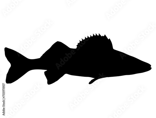 Walleye fish silhouette vector art white background