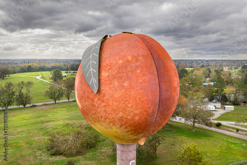 Peach shaped water tower