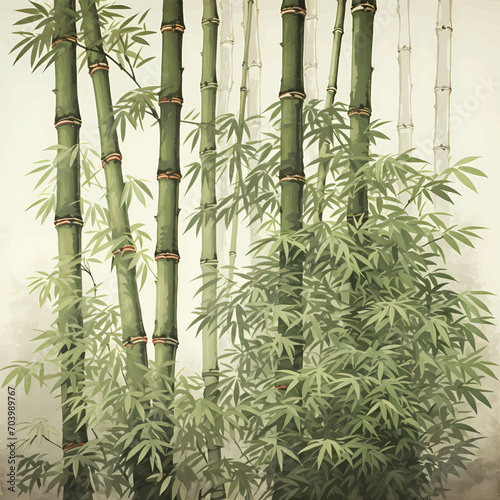 bamboo forest 