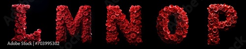 red rose petal letters - L M N O P - ideal for valentines day or other celebration moment - isolated black background - unique 3D letters and numbers set collection - flower alphabet - petal alphabet photo