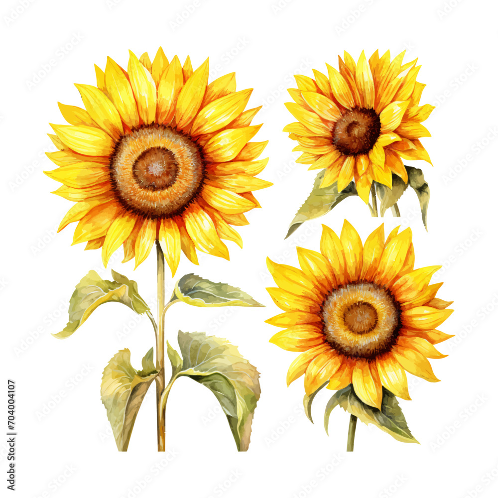 Obraz premium watercolor painting of sunflower four collection