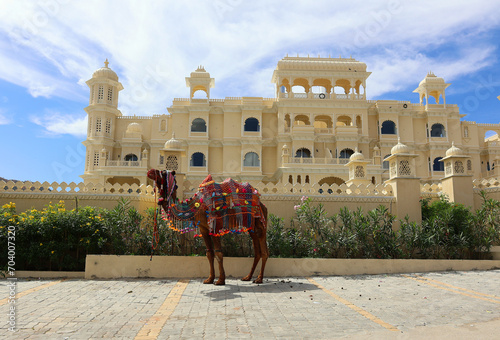 Decorated camel for tourists ride in Rajasthan India Asia