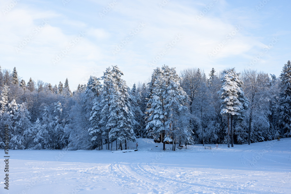 Very cold January winter day scenery (-21ºC). Sun is shining just above horizon. Very cold January winter day scenery (-21ºC). Sun is shining just above horizon.