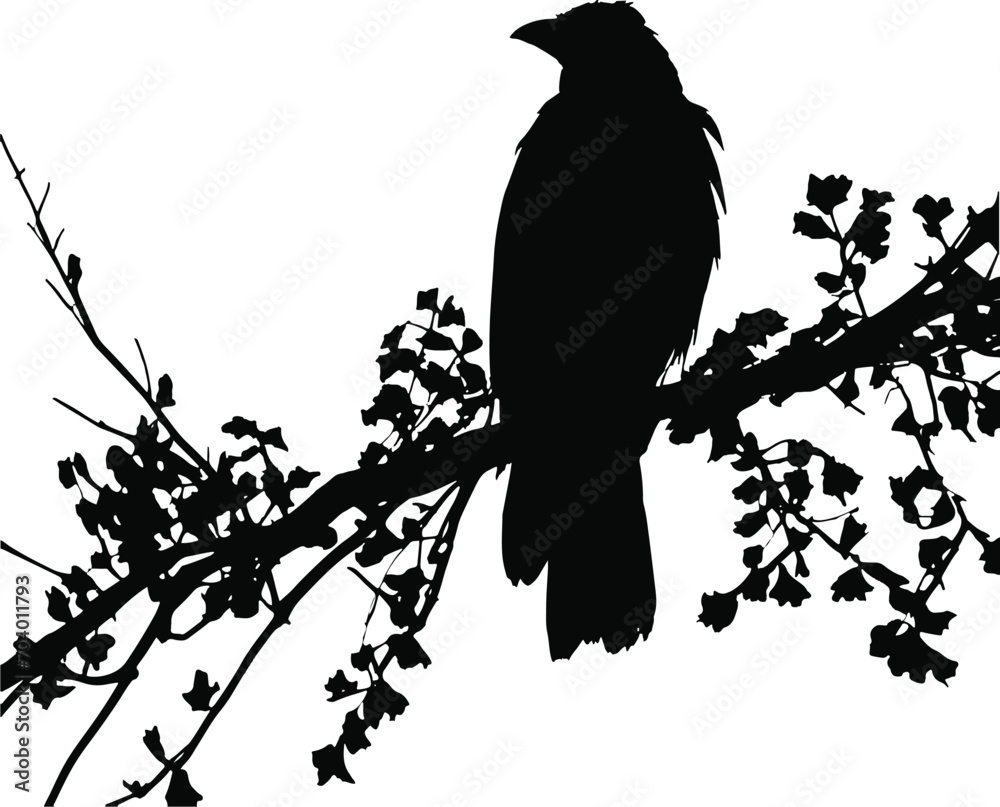 Silhouette of Crow - Raven silhouette Instant Download Raven clipart