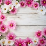 A pink and white cosmos flower frame 