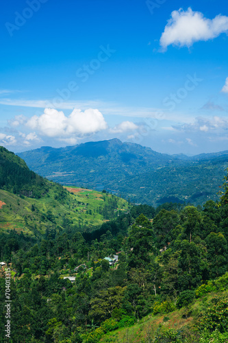 Landscape Views of Tea Fields in Nuwara Eliya