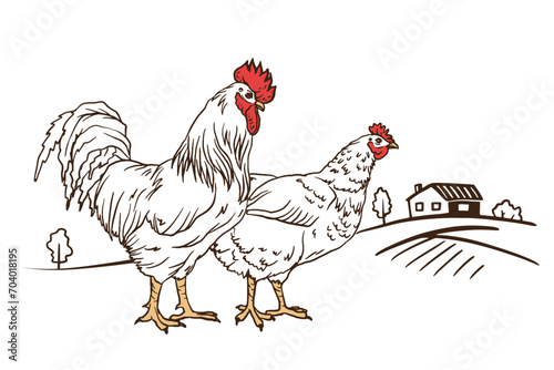 white chicken and cock. Set of chicken and rooster. Decorative bird hen engrave doodle style. Farm animal logo. Vector illustration of a poultry for farming products package, book illustration, poster