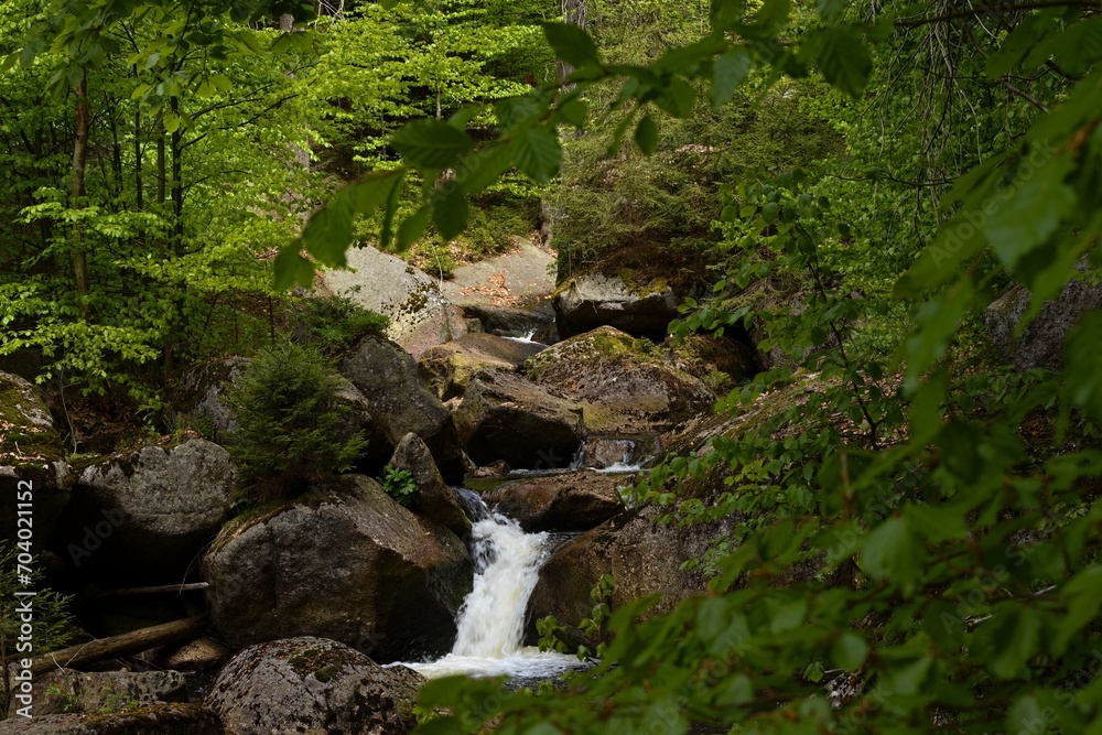waterfalls on a stream in the forest waterfalls on a stream in the forest