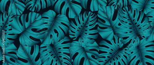 Botanical luxury background with turquoise monstera leaves. Dark tropical background, poster, banner, wallpaper
