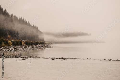 Foggy Coastline