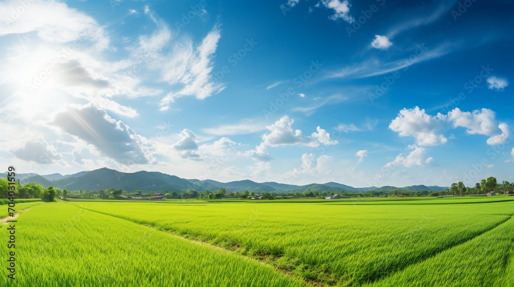 green field with sun flare, AI Generative.